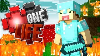THE PURGE HAPPENED!! (OneLife #44)