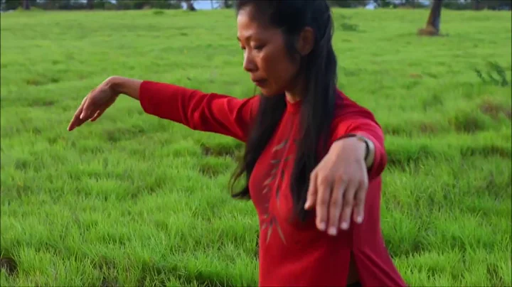 Vertical Alignment & Showering Qi with Daisy Lee