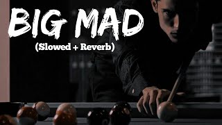 Big Mad (Slowed   Reverbed) -  Tarna | Byg Byrd