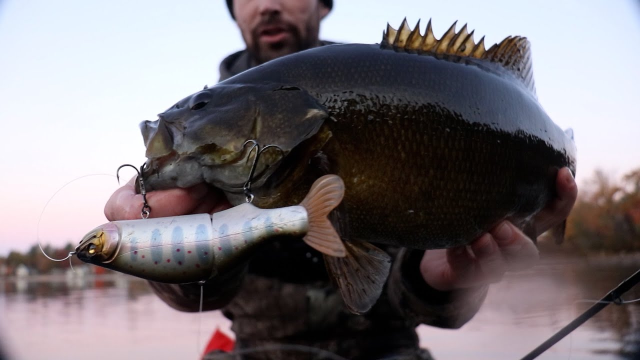 Megabass I-Slide 185 Glide Bait Catches BIG Smallmouth on a CLEAR