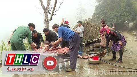 Người dân vùng cao mổ lợn đón tết | THLC