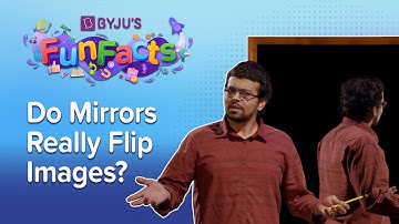 Why Mirrors Flip Horizontally But Not Vertically? | BYJU
