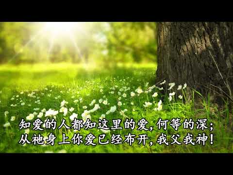 029 父啊，我们在你面前拜礼