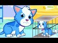 Fun Pet Care Kids Games - Play Puppy's Rescue & Care, Dress Up - Fun Animal Care Games For Kids