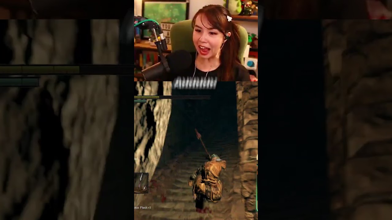 THIS ALMOST BROKE MY COMPUTER..