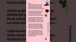 Ali Altay Turan / Eğer