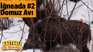 iğneada Domuz Avı 2. Bölüm Rastgele Ali Birerdinç  Wildboar Hunting Turkey YabanTv