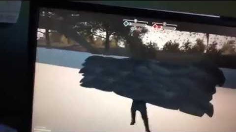 Heroes and generals bug