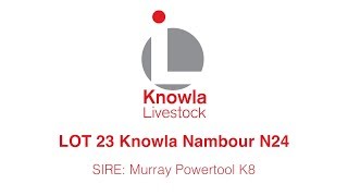 Knowla Livestock Lot 23
