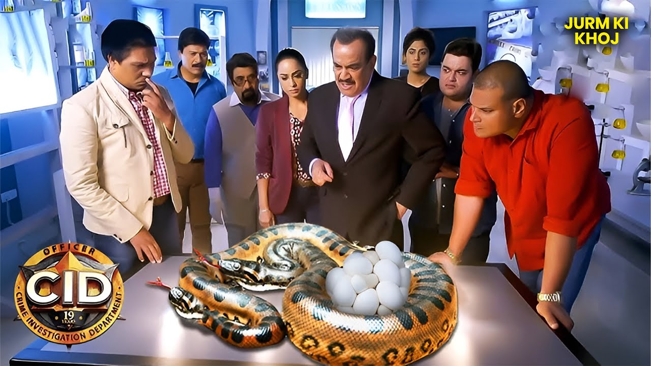 CID new episode 2025 | 10 feet के बड़े सांप को CID ने किया Rescue | CID