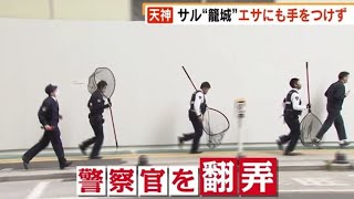 警察官らを翻弄？住民にばかり我慢や被害を押し付けるのは違うのではないでしょうか？福岡(動物愛誤)(經濟損害)(製造車禍.人身被害)(アニマルホーダー)(COVID-19)(Bウイルス病)(狂犬病)