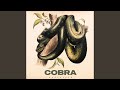 Cobra