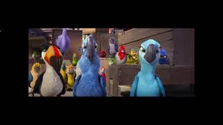 Rio Birds Vs Monkeys But With Rock And Roll Music