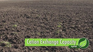 Cation Exchange Capacity #1032 (Air Date 1-14-18)