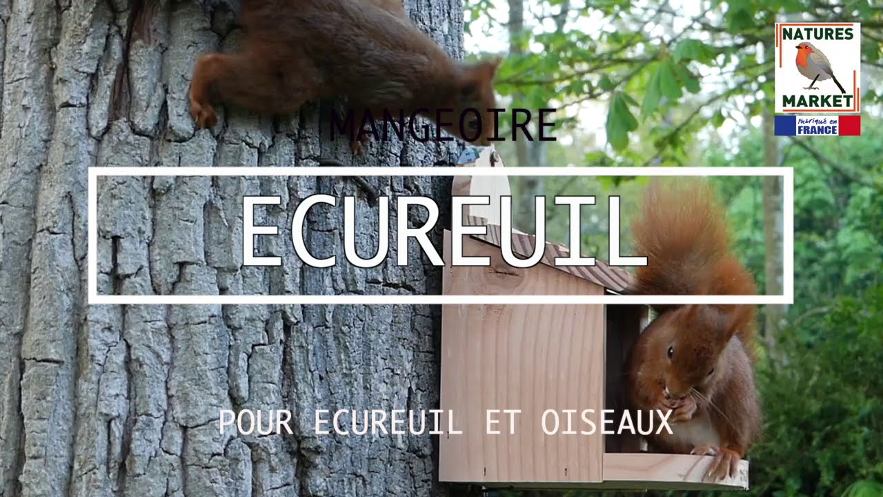 Mangeoire Ecureuils et/ou Oiseaux