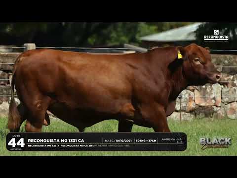 LOTE 44 INDIVIDUAL Reconquista MG 1331 CA