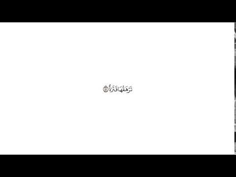 تفسير قوله تعالى ت ر ه ق ه ا ق ت ر ة عبس 41