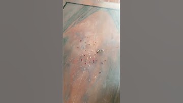 Pop-Pop crackers testing🎇🎇 #shorts #poppop #diwali #crackers #patakhe #viral