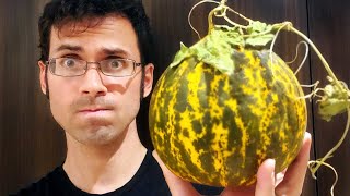 Crazy Looking Melons in Algeria - Weird Fruit Explorer