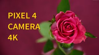 Pixel 4 Google Pixel 4 Camera Testing - Best Phone 2019