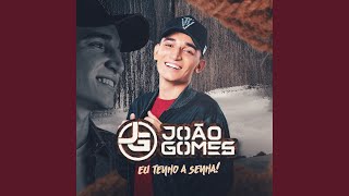 Video thumbnail of "João Gomes - Fica Comigo"