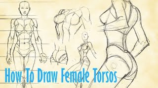 how to draw female torsos