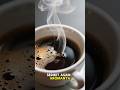 Kopi Arabika vs Robusta Tapi dari Sudut Psikologi