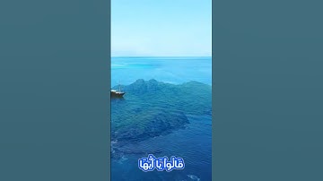 سورة يوسف و..كا،،نك تسمعها لأ،،و..ل مر.ة 💘💟..🌸🌷؛،💓🏵️..💮بصوت الشيخ حمزة مد بو.ح 🌻❤️؛؛؛💓🌸،،💐🌼💔