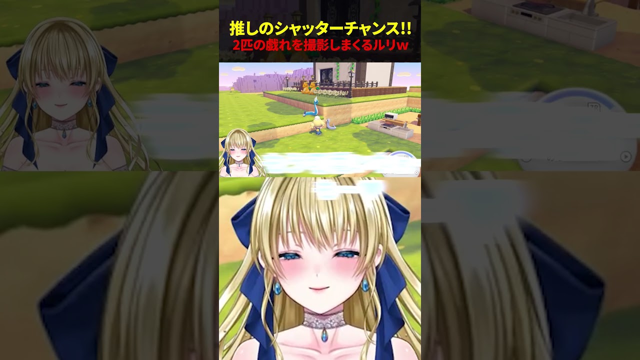 ミニリュウとハクリューの尊い姿を撮影しまくるルリ