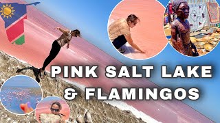 PINK SALT LAKE WALVIS BAY | FLAMINGO | NAMIBIA | CHARIETALA | SEAMAN | BOLETTE