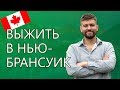 КАК ВЫЖИТЬ В НЬЮ-БРАНСУИК? Иммиграция в Канаду №120