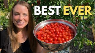 I Grow Better Tomatoes Because I Do Less