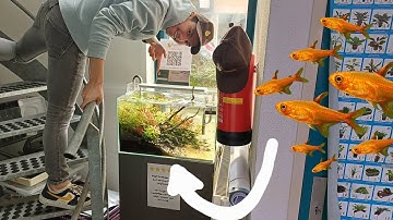 Nieuwe vissen in het Aquarium! unboxing time | Exotic Aquatica