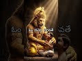 ఓం నమో భగవతే #omnamobhagavatevasudevaya #vasudevayanamah #bhagwan
