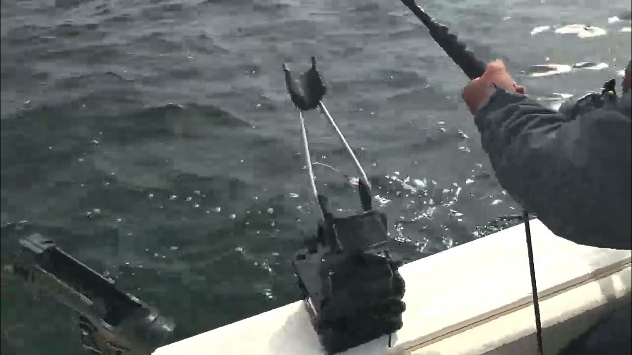Neah Bay Halibut Fishing 2022 YouTube