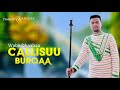 Wabii dhaabaa  callisuu burqaa  ethiopian oromo music 2020 official