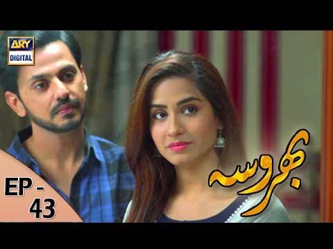 Bharosa — Episode 43