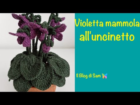 Video: Le foglie di viola del pensiero stanno ingiallindo: diagnosi e trattamento delle foglie di viola del pensiero scolorite