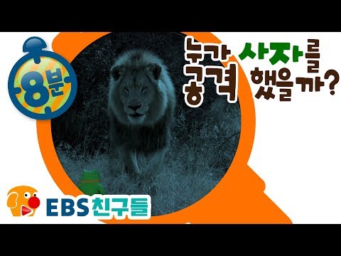 [EBS친구들][명탐정 피트]누가 사자를 공격했을까[피트/바바/몰리/코코/돌프/키키/래비]