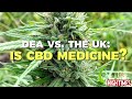 DEA vs. the UK: Is CBD Medicine?