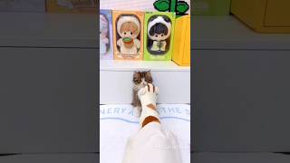 With one soft paw, she asks for everything she needs — love, play, and milk #cat #kitten