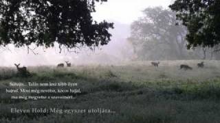 Video thumbnail of "Eleven Hold - Még egyszer utoljára (just listen)"