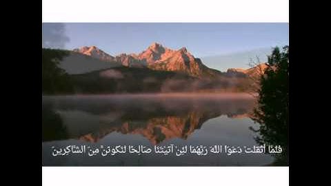 تلاوة لــ: سيف الدليمي🌷