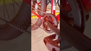 Sepeda Polygon MTB Relic 24 untuk usia 10-15 tahun #rodalink #remaja