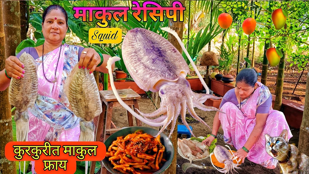 कोकणी स्पेशल माकुल रेसिपी/माकुल फ्राय/squid recipe/Village cooking channel