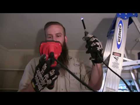 Raccoon Removal & Baby Raccoon Control in Attic - North Florida