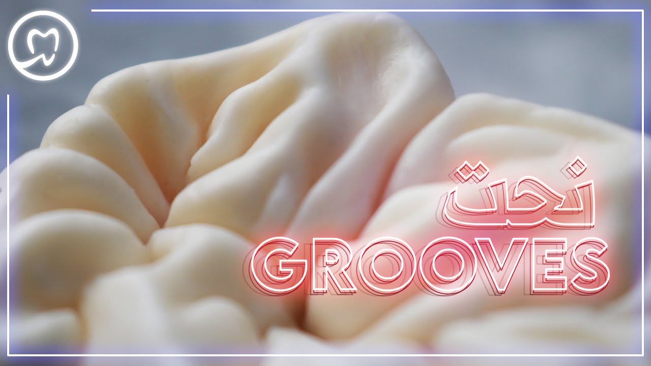 نحت تفاصيل الأسنان الدقيقة كالمحترفين | Grooves Carving In Depth