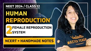 Female Reproduction System#1 | Human Reproduction | CBSE Class 12 Biology 🎯VEER NEET Batch 2024👩🏻‍⚕️