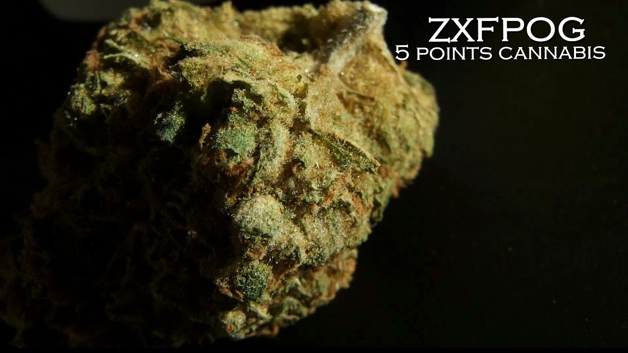 ZXFPOG DE 5 CANNABIS - L'ÉLECTRO POT 89