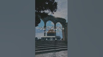 تلاوة للقارئ ماجد خالد العماري.